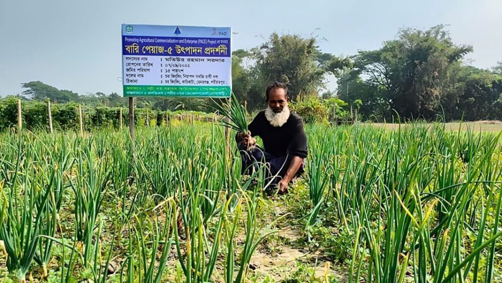 মতি সরদার
